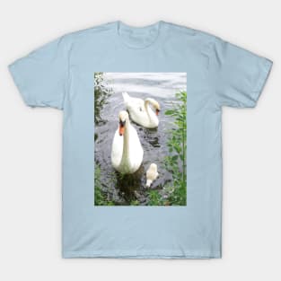 Notre Dame Swans T-Shirt